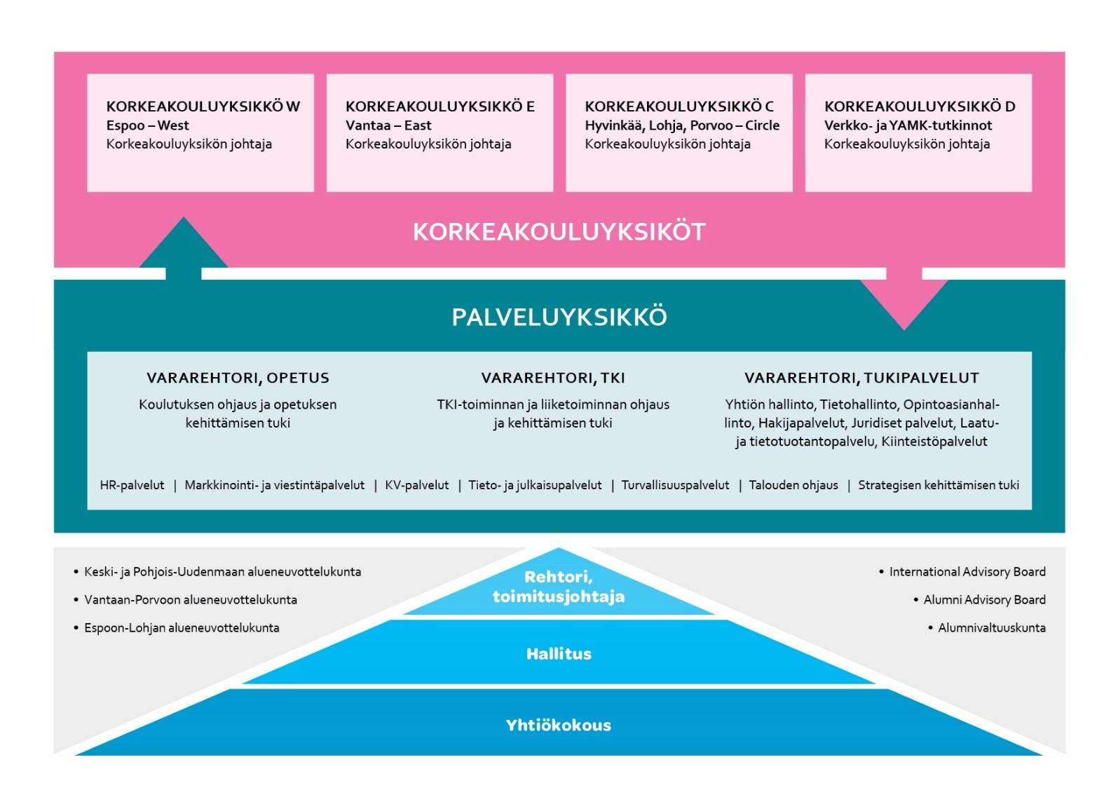 Kuvan alaosassa pyramidi, jonka alimmaisena yhtiökokous, seuraavaksi hallitus ja ylimmäisenä rehtori, toimitusjohtaja. Ympärillä Keski- ja Pohjois-Uudenmaan alueneuvottelukunta, Vantaan-Porvoon alueneuvottelukunta, Espoon-Lohjan alueneuvottelukunta, International Advisory Board, Alumni Advisory Board ja Alumnivaltuuskunta. Keskellä Palveluyksikkö, jonka toiminnoista vastaavat vararehtori, opetus (koulutuksen ohjaus ja opetuksen kehittämisen tuki), vararehtori, TKI (TKI-toiminnan ja liiketoiminnan ohjaus ja kehittämisen tuki) ja vararehtori, tukipalvelut (yhtiön hallinto, tietohallinto, opintoasiainhallinto, hakijapalvelut, juridiset palvelut, laatu- ja tietotuotantopalvelut, kiinteistöpalvelut). Palveluyksikköön kuuluvat myös HR-palvelut, markkinointi- ja viestintäpalvelut, KV-palvelut, tieto- ja julkaisupalvelut, turvallisuuspalvelut, talouden ohjaus sekä strategian kehittämisen tuki. Kuvassa ylimpänä korkeakouluyksiköt W (Espoo - West), E (Vantaa - East), C (Hyvinkää, Lohja, Porvoo - Circle) ja D (verkko- ja YAMK-tutkinnot), joista vastaavat korkeakouluyksiköiden johtajat.